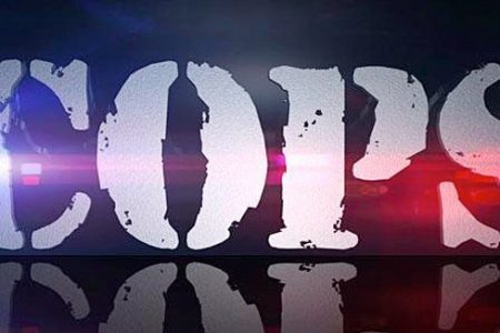 Cops Theme Song