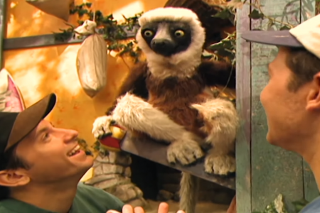 Zoboomafoo Theme Song