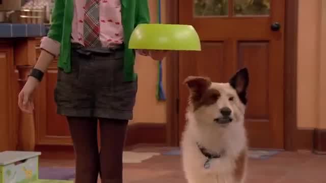 Dog with a Blog Theme Song