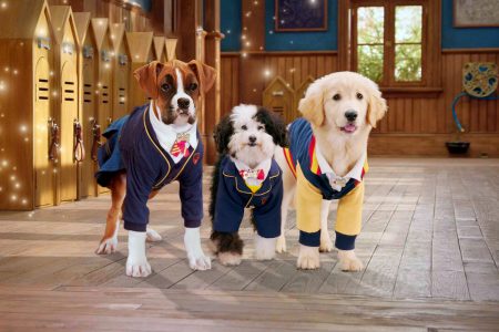 Pup Academy Theme Song