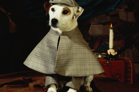 Wishbone Theme Song