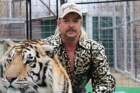 tiger king theme song